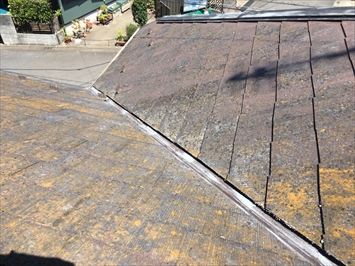 国分寺市内藤にてスレート屋根の点検、苔の生えたスレートは塗膜の劣化が進んでいるので気を付けましょう
